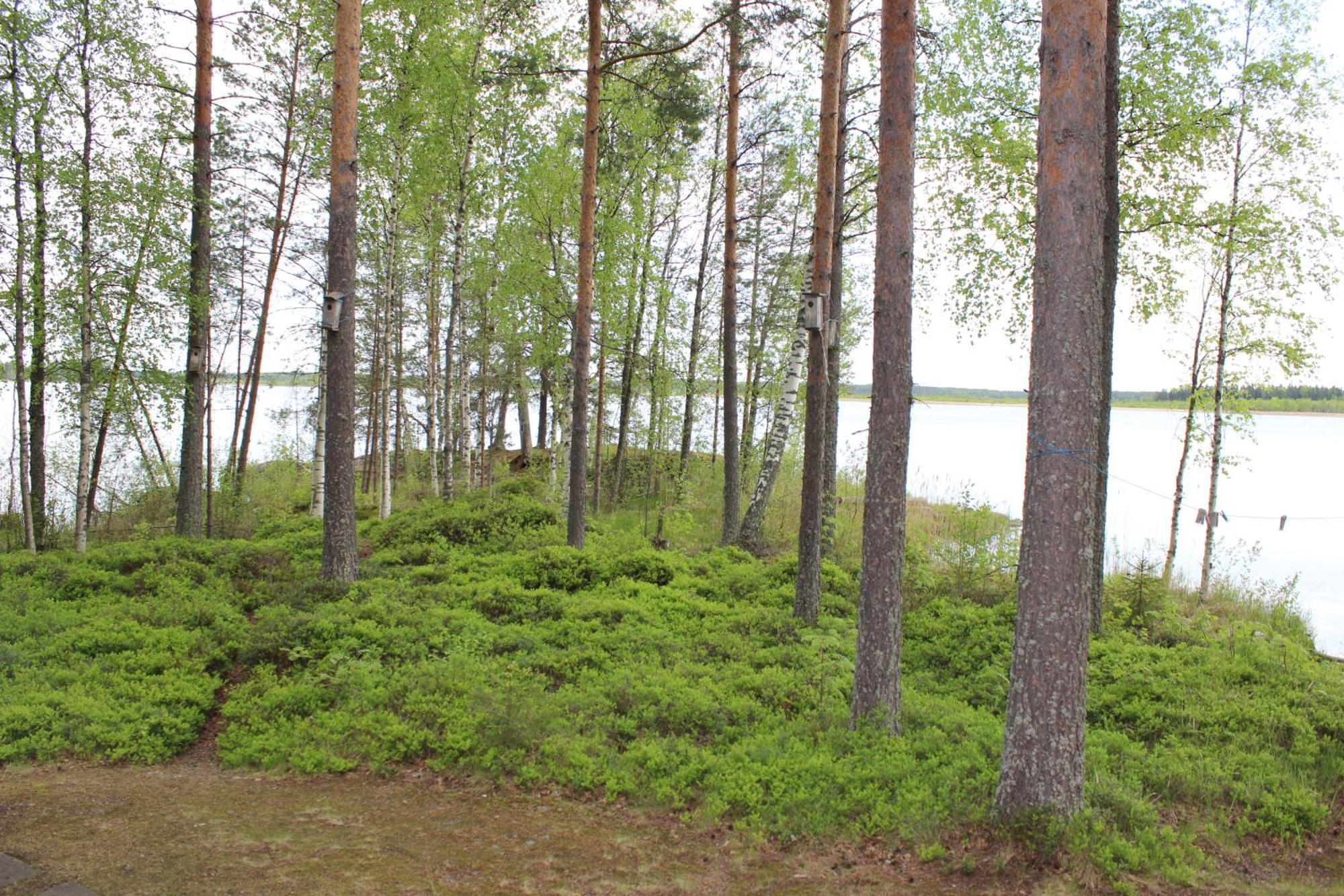 Lomamokkila Cottages Савонлинна Номер фото